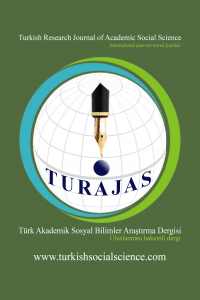 Türk Akademik Sosyal Bilimler Araştırma Dergisi